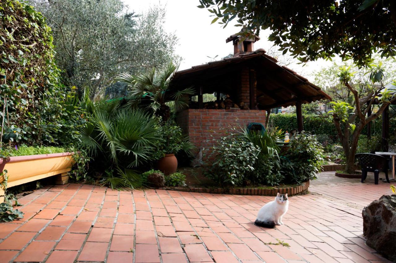 L'Acchiappasogni Bed And Breakfast Colle di Fuori Luaran gambar